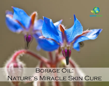 Borage Oil: Nature's Miracle Skin Cure