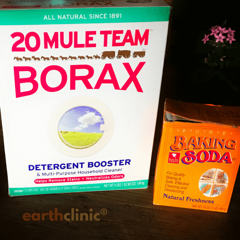 Borax and Sodium Bicarb Remedy