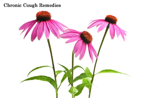 Chronic Cough Remedies