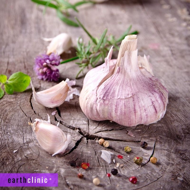 Garlic for Bronchitis