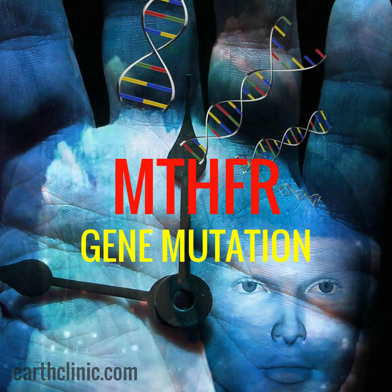 What is an MTHFR Mutation?