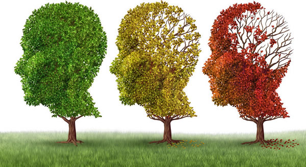 Natural Remedies for Alzheimer's and Dementia