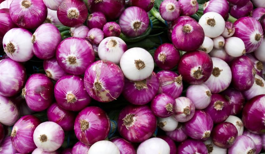 Onion Cough Remedy