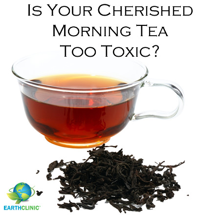 Is Your Tea Toxic?