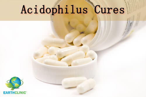 Acidophilus Cures