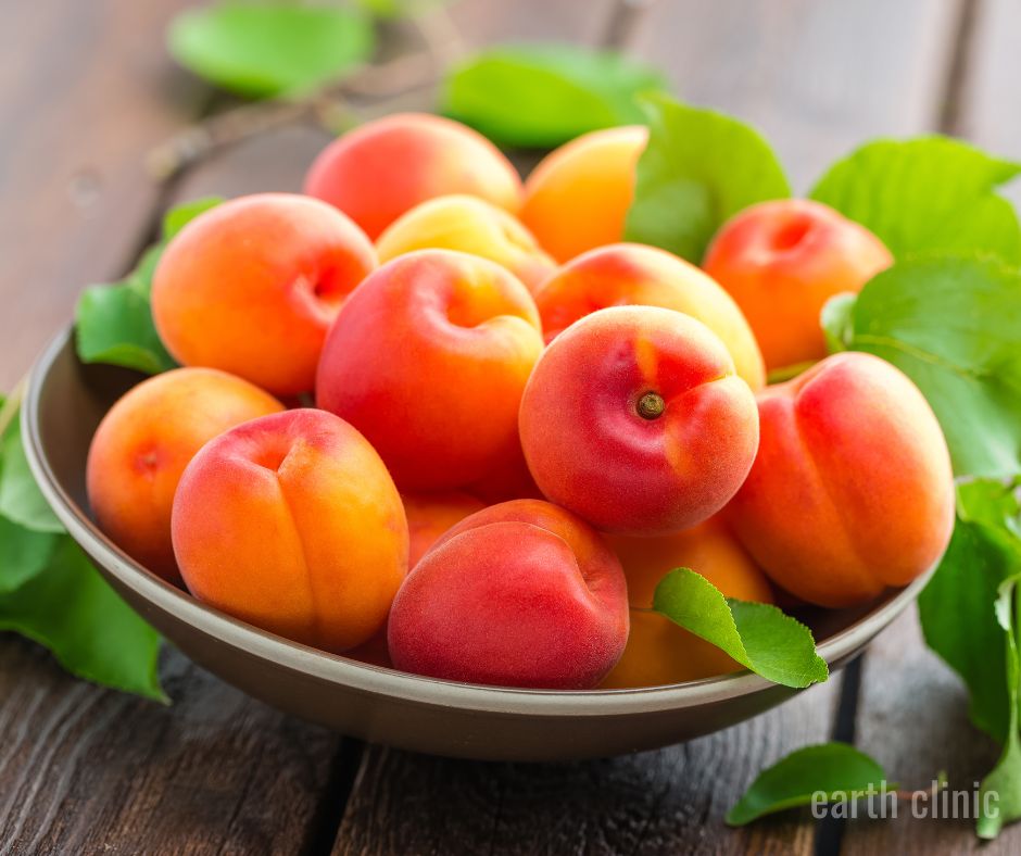 Natural Cancer Remedies: Aloe Vera, Apricot Seeds & Integrative Therapies
