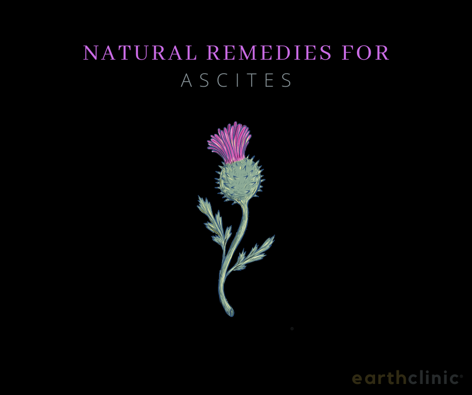 Milk Thistle for Ascites.