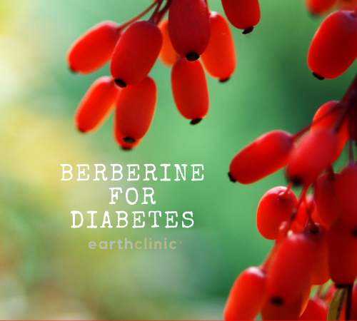 Beberine for Diabeters