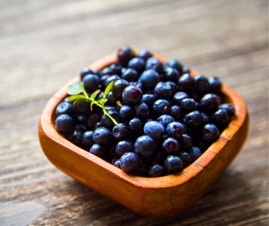 Bilberry Health Benefits