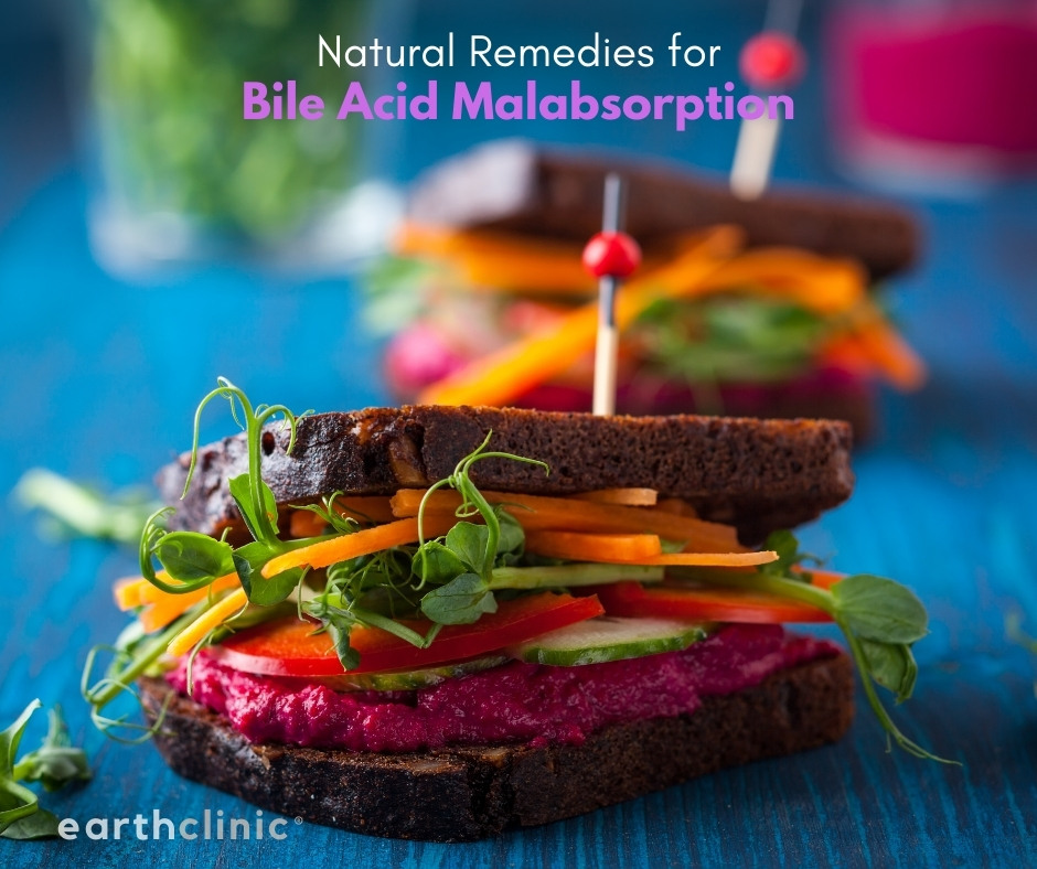 Natural Remedies for Bile Acid Malabsorption