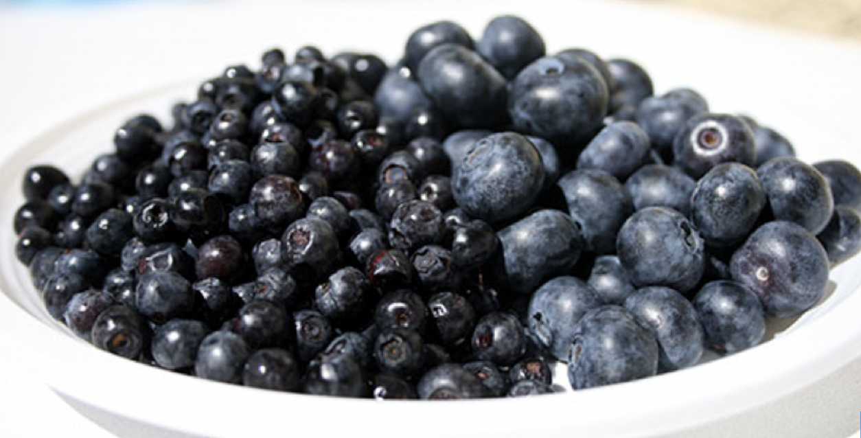 Photo of Blueberries and Bilberries.