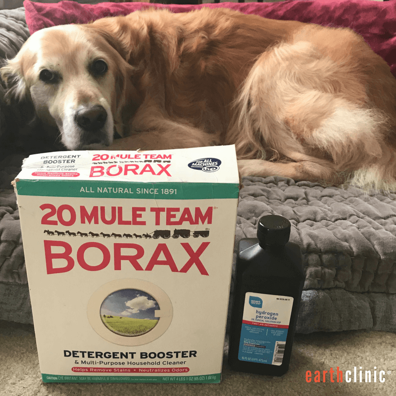 Borax for Mange - Ted's Remedy for Demodectic and Sarcoptic Mange