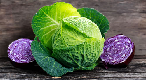 Cabbage Wrap for Swelling, Pain and Infection