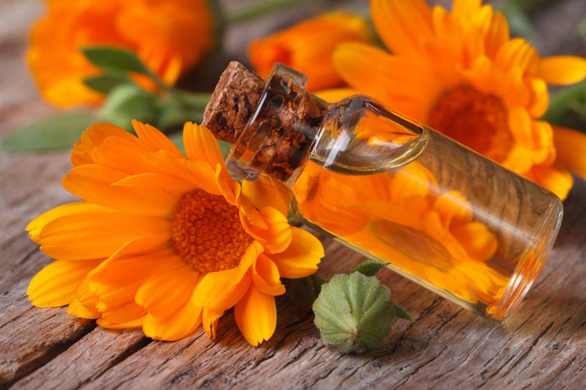 Calendula essential oil.