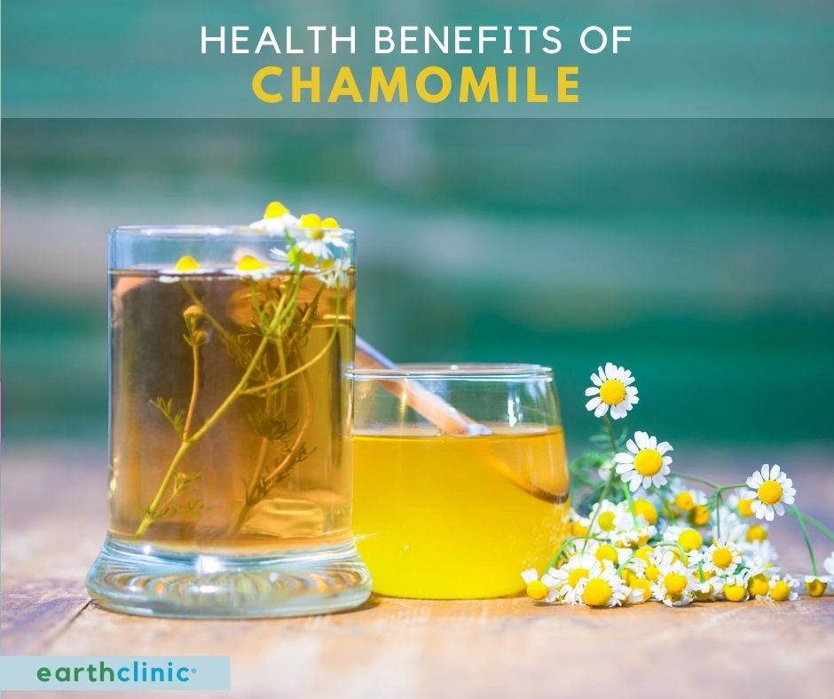 Chamomile Health Benefits