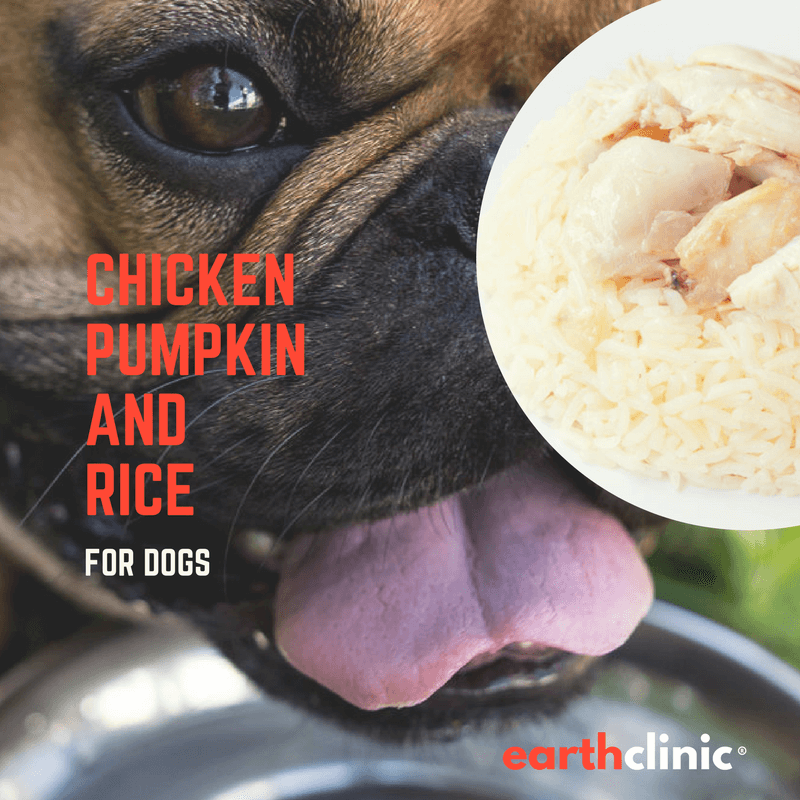 Chicken, Rice and Pumpkin for Dogs