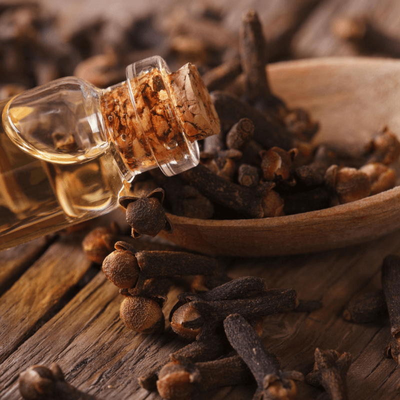 Clove Health Benefits