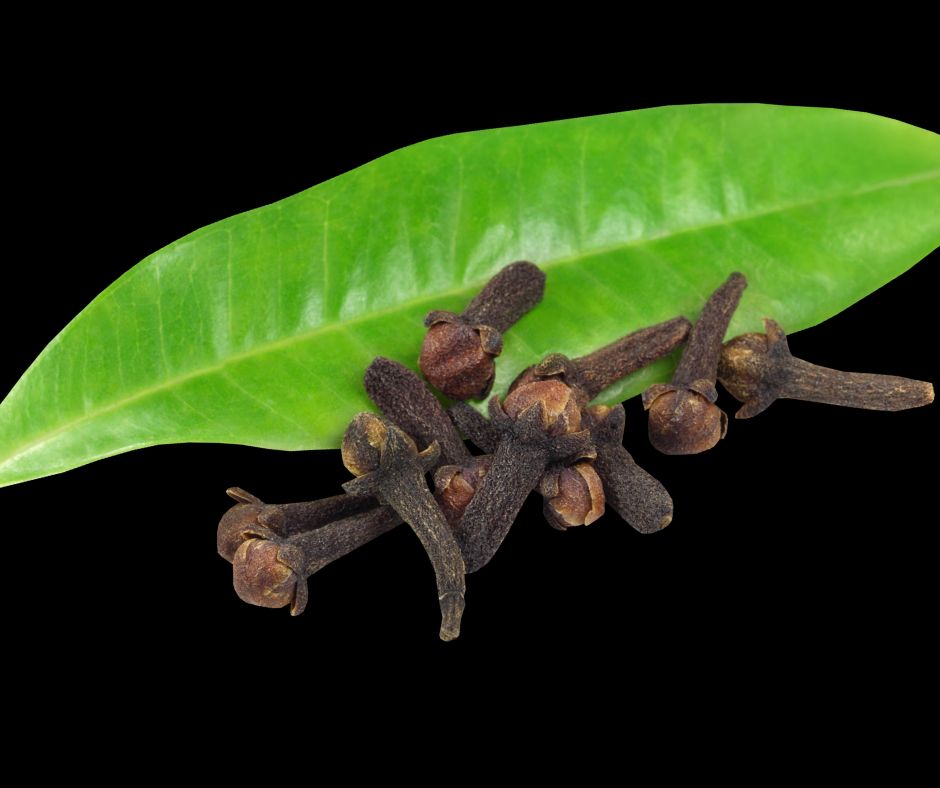 Cloves.