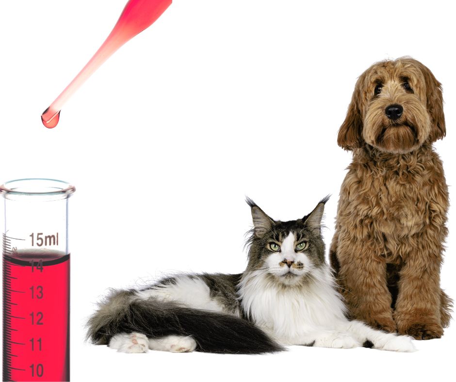 Colloidal Gold for Dogs