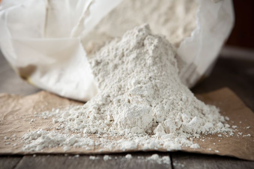 Diatomaceous Earth for Lipomas