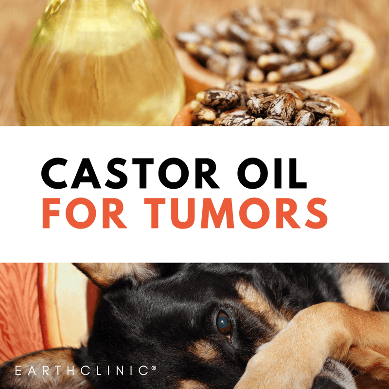 Dog Tumor Natural Remedies