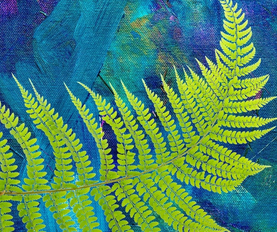 Fern Extract
