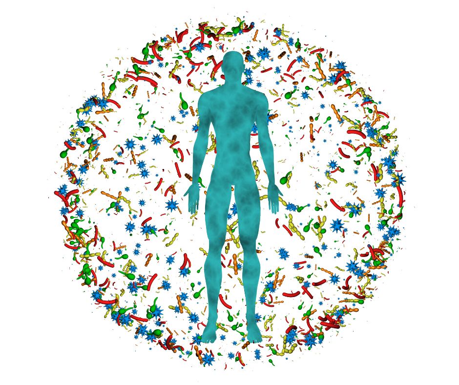 Gut Microbiome