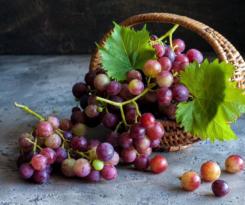 Grape Seed Extract for Atherosclerosis