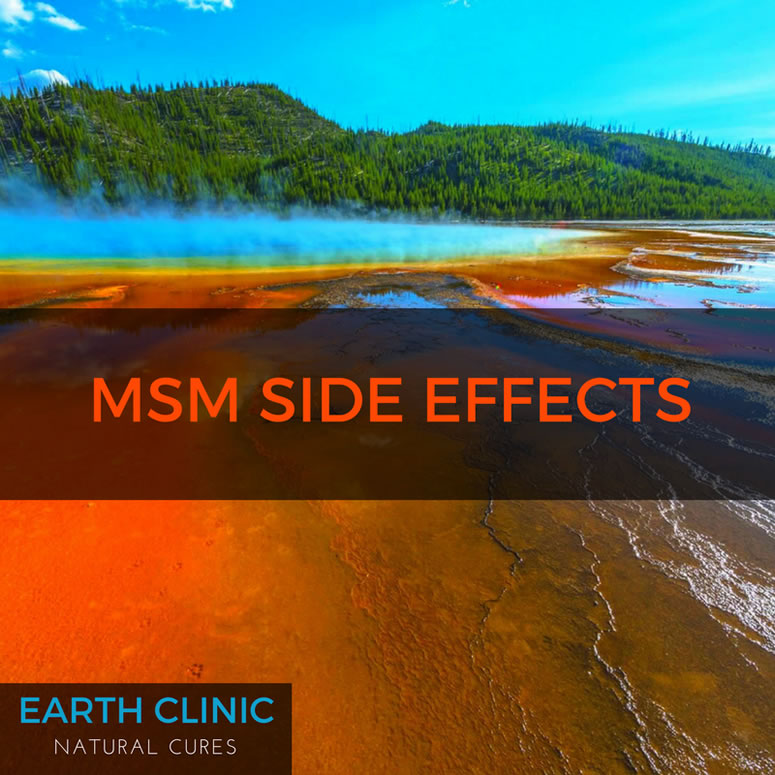 MSM Side Effects 2026 Methylation Sulfur Metabolism Detox Guide MSM Side Effects 2026 Methylation Sulfur Metabolism Detox Guide