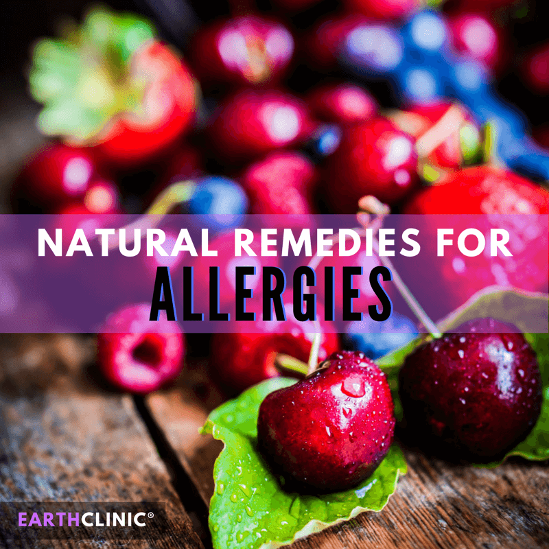 Natural Allergy Remedies