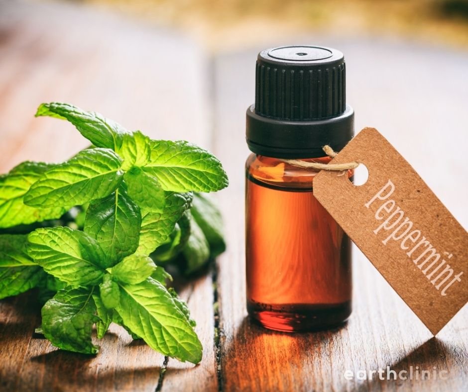 Peppermint Oil