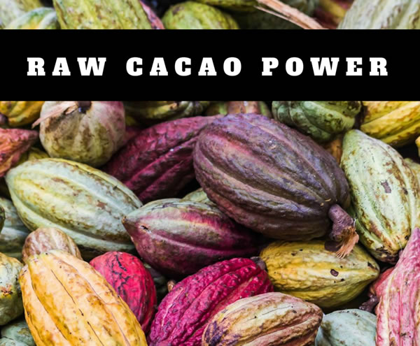 Raw Cacao Health Benefits