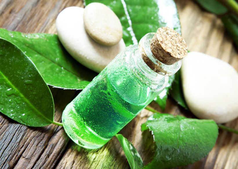 Tea Tree Oil for Sinus Polyps