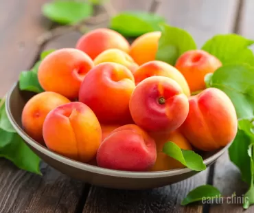 Natural Cancer Remedies: Aloe Vera, Apricot Seeds & Integrative Therapies