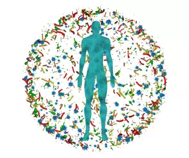 Gut Microbiome